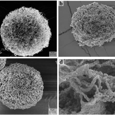 Structures Of Different TiO2 Phases A Rutile B Anatase C Brookite D