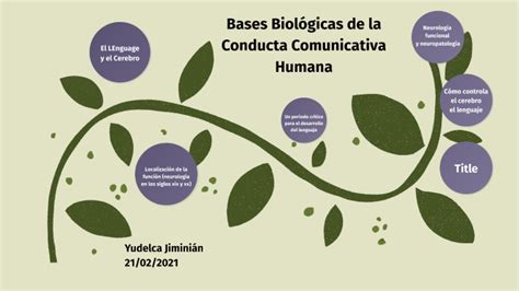 Bases Biológicas De La Conducta Comunicativa Humana By Yudelca Jiminian