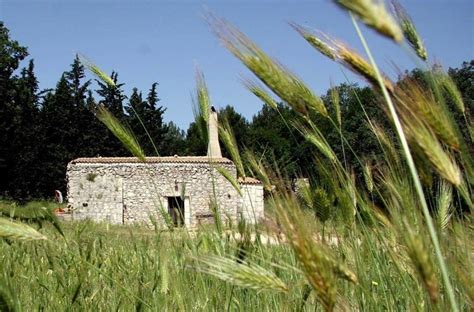 Ristorante Agriturismo Masseria Ruotolo A Cassano Delle Murge Bari