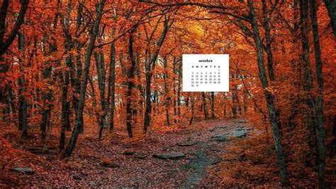 Bộ Sưu Tập October Desktop Backgrounds 2022 Với Nhiều Phong Cách độc đáo