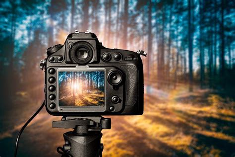 Which Camera Is Best For Nature Photography Wildlife Aestetic