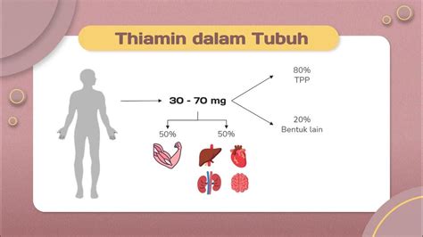 Metabolisme Vitamin B1 Youtube