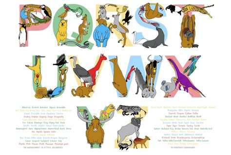 Animalphabet A3 Print The Full Animal Alphabet Etsy Uk