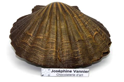 Coquille Saint Jaques En Chocolat Noir Garnie Jos Phine Vannier