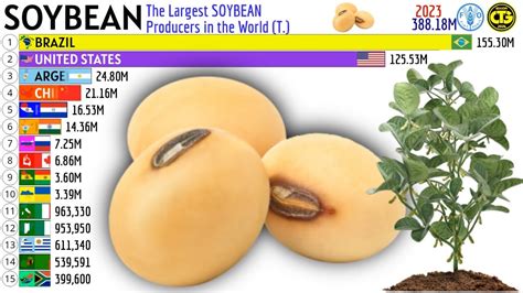 The Largest Soybean Producers In The World Youtube