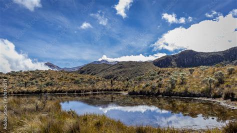 Landscape in Los Nevados National Natural Park in Colombia. Nevado de ...