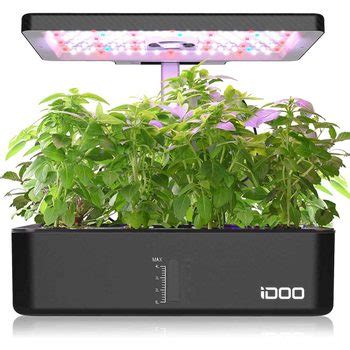 The Best Hydroponic Garden Kits | The Family Handyman