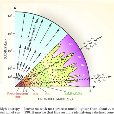 Type Ii Supernovae Are Triggered By The Sudden Collapse Of The Iron Download Scientific Diagram