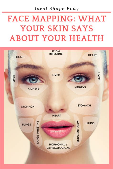 Face Mapping What Your Skin Says About Your Health Ideal Shape Body