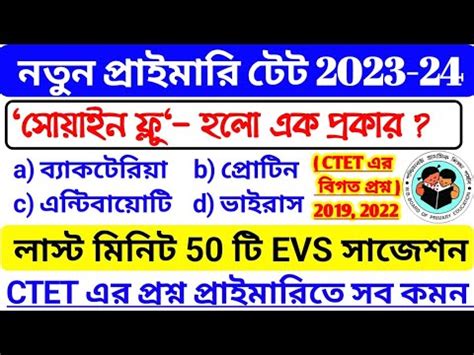 Primary Tet Exam Preparation Wb Primary Tet Wb Primary Tet