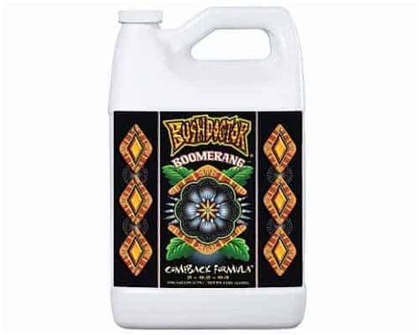 Best Indoor Plant Fertilizer: Top 10 Picks | Indoor Gardening