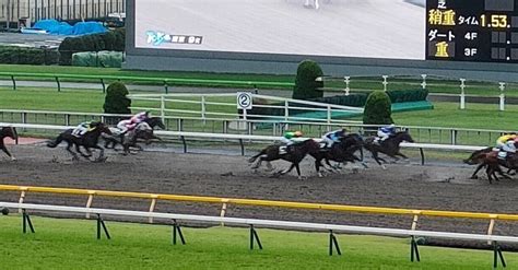 218 東京競馬🐴フェブラリーステークス G1 日本競馬の現役ダート最強馬が不在なら注目する馬｜ピラステ