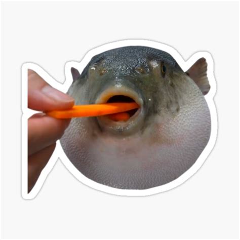 Pufferfish Eating A Carrot Meme Sticker For Sale By Goath Redbubble