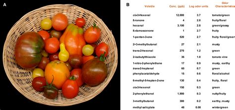 Tomato Flavor: Lost and Found?: Molecular Plant