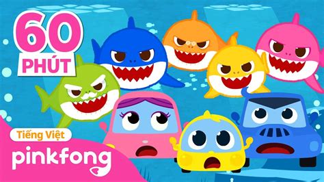 Ô tô con va Cá Mập Con Tuyển tập Pinkfong Cá mập con Nhạc