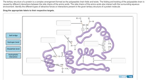 Solved: PART A The Tertiary Structure Of A Protein Is A Co... | Chegg.com