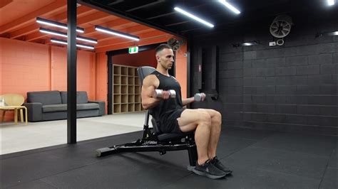 Seated Db Curl Youtube