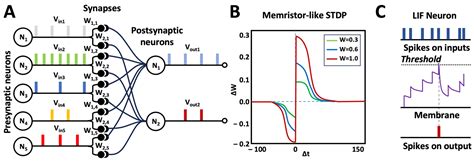 Memristor Based Spiking Artificial Neural Networks Encyclopedia Mdpi