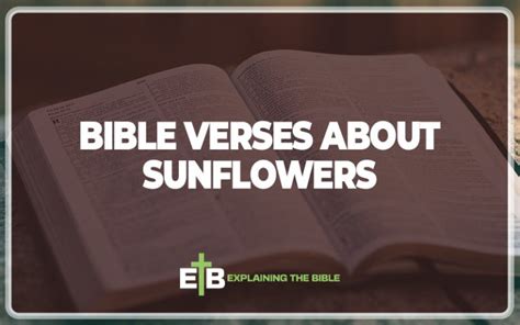 40 Important Bible Verses About Sunflowers Explaining The Bible