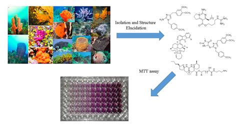 Biomolecules Free Full Text Cytotoxic Alkaloids Derived From Marine