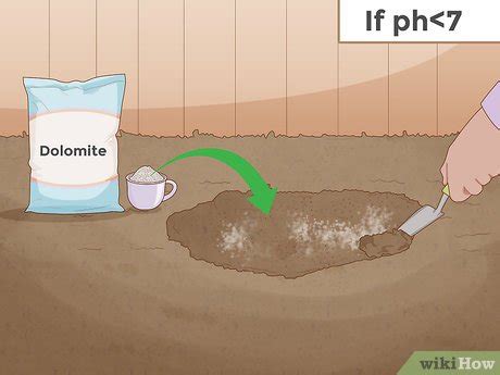 3 Cara Untuk Menguji PH Tanah WikiHow