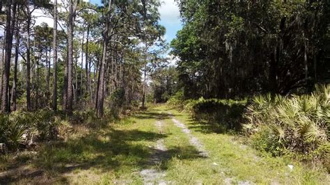 14 Enchanting Central Florida State Parks With Camping Floridarambler