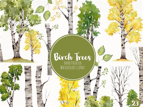 Watercolor Birch Tree Clipart Aspen Tree Clipart Birch Etsy