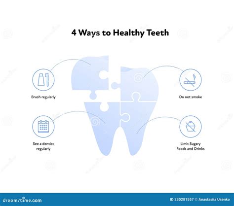 Healthy Teeth Infographic Vector Flat Healthcare Illustration Jigsaw