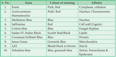 Cytological Techniques