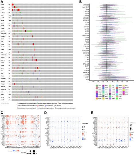 Pan Cancer Analysis Of T Cell Proliferation Regulatory Genes As