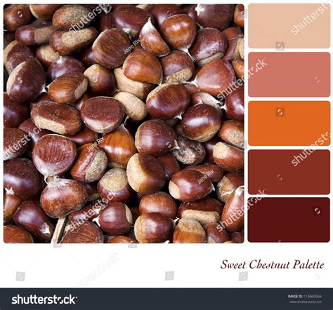 Food Color Palette Over 9428 Royalty Free Licensable Stock Photos