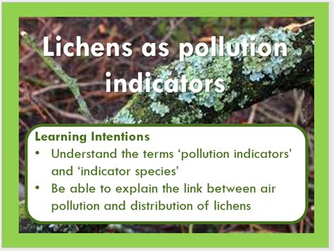 Lichens As Pollution Indicators Teaching Resources