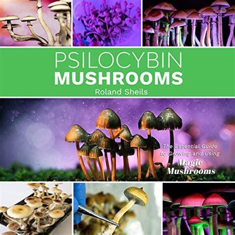 The Complete Guide To Microdosing Psilocybin Mushrooms Guidebook