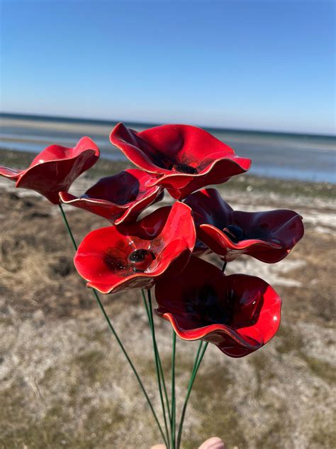 Keramische Grote Klaproos Keramische Bloem Voor Bloemplant Etsy Nederland