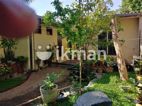 House For Sale In Ja Ela Ikman