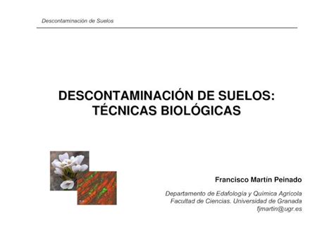 Pdf Descontaminaci N De Suelos T Cnicas Biol Gicasedafologia Net