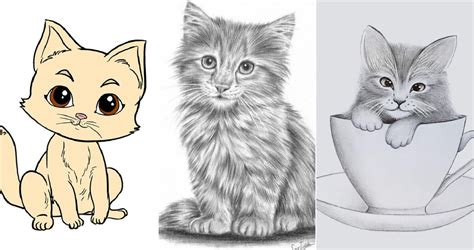 25 Easy Kitten Drawing Ideas How To Draw A Kitten