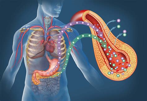 Krankheitsbild Diabetiker Hessen E V