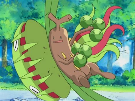 Image Brock Sudowoodo Rock Head Png Pokémon Wiki Fandom Powered