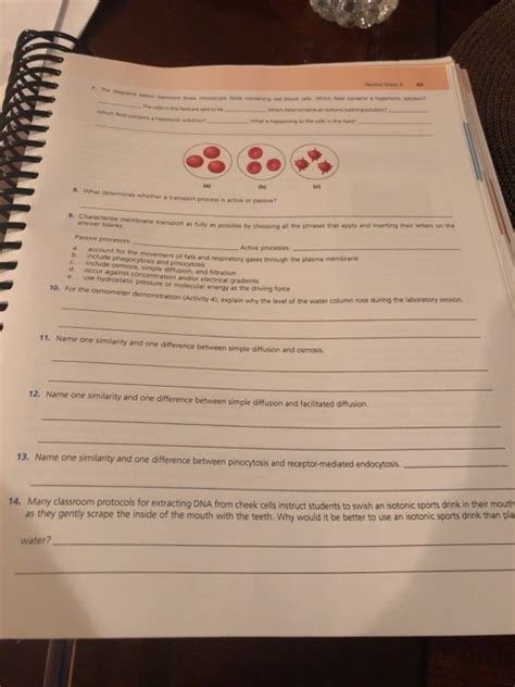 Solved Review Sheet The Cell Transport Mechanisms And Chegg