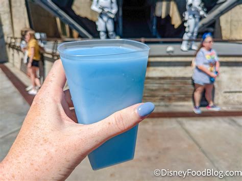 13 Beloved Snacks That Are Officially Confirmed As Disney Dining Plan