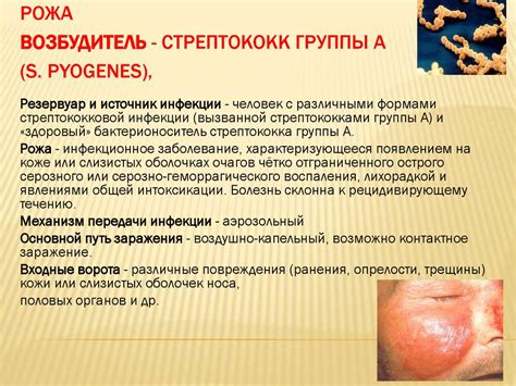 Бактериальные кровяные инфекции и инфекции наружных покровов ...