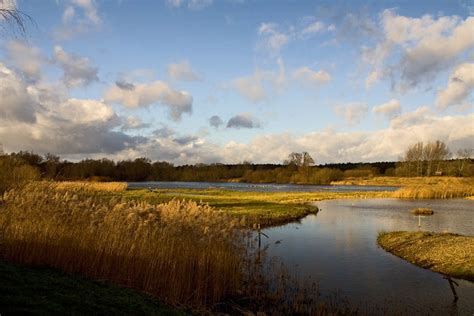 Lackford Lakes Things To Do Near West Stow Pods