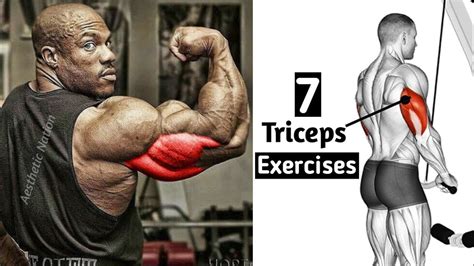 Best Tricep Workout For Mass Bodybuilding EOUA Blog