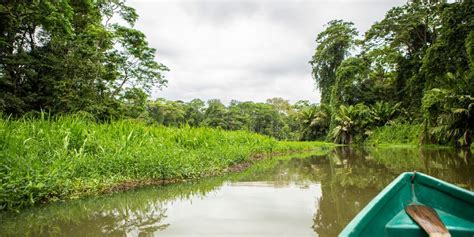 Tortuguero Rainforest Canals