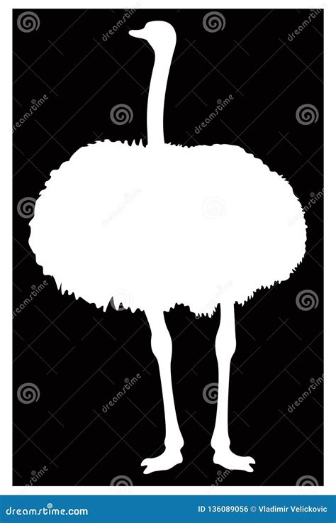 Ostrich Or Flightless Bird Silhouette Stock Vector Illustration Of