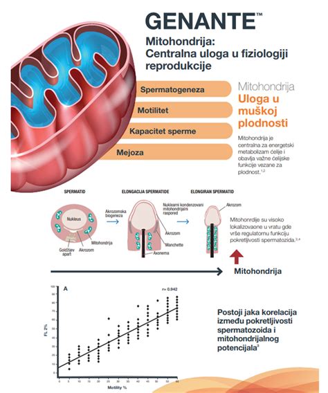 Gênante Genante Vemax Pharma miglobo mx