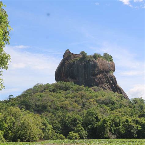 Sigiriya Lion Rock Fortress – Visit the Breath-Taking Sigiriya Lion ...