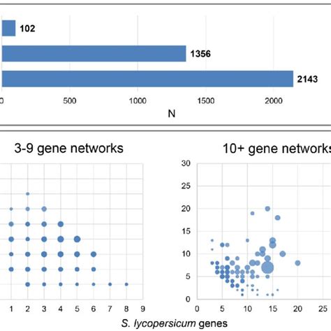 Tomato And Grapevine Genome Annotation Versions Download Table