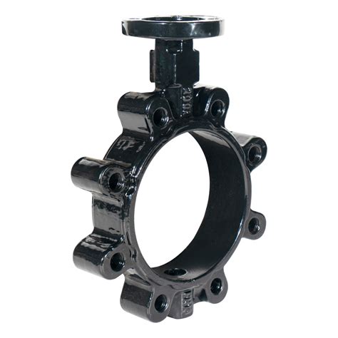 ANSI 150lb DIN JIS 10K 5K Wafer Lt Butterfly Valve China Valve And